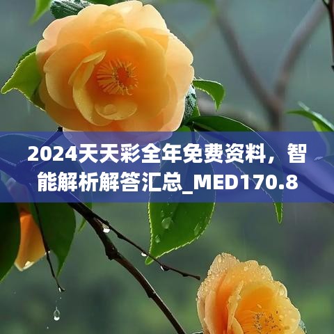 2024天天彩全年免費(fèi)資料，智能解析解答匯總_MED170.88版