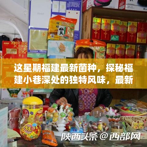 福建小巷深處的獨(dú)特風(fēng)味，最新菌種小店之旅探秘記