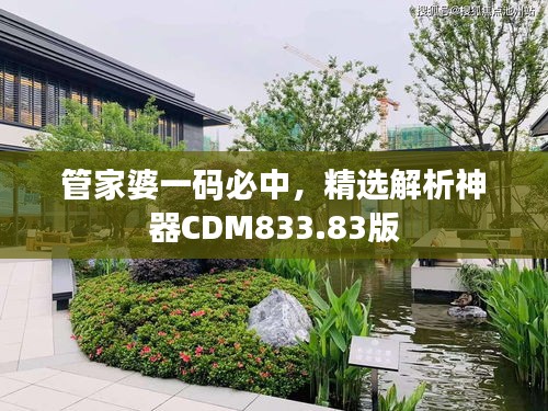 管家婆一碼必中，精選解析神器CDM833.83版