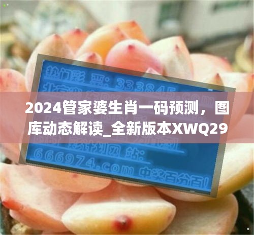 2024管家婆生肖一碼預(yù)測(cè)，圖庫(kù)動(dòng)態(tài)解讀_全新版本XWQ290.47