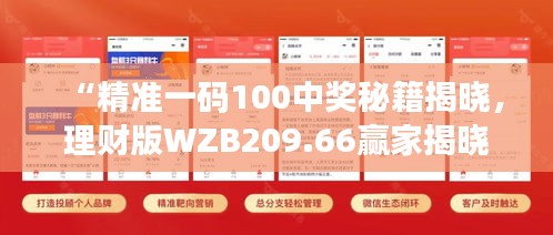 “精準(zhǔn)一碼100中獎(jiǎng)秘籍揭曉，理財(cái)版WZB209.66贏家揭曉”