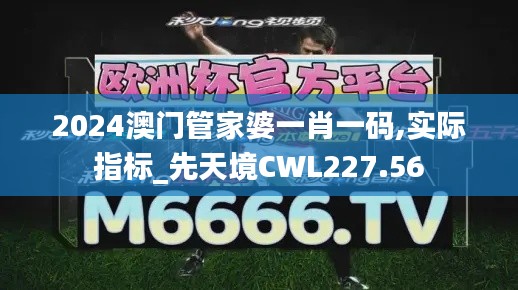 2024澳門(mén)管家婆一肖一碼,實(shí)際指標(biāo)_先天境CWL227.56