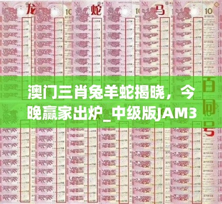 澳門三肖兔羊蛇揭曉，今晚贏家出爐_中級版JAM324.11