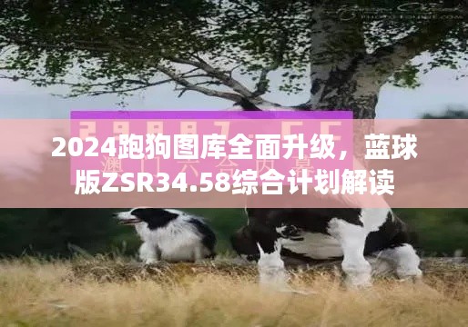 2024跑狗圖庫(kù)全面升級(jí)，藍(lán)球版ZSR34.58綜合計(jì)劃解讀