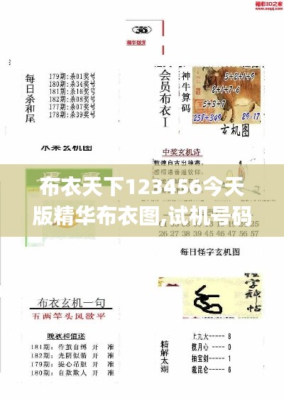 布衣天下123456今天版精華布衣圖,試機(jī)號碼,電網(wǎng)規(guī)劃發(fā)展目標(biāo)_極限版ZXJ738.92