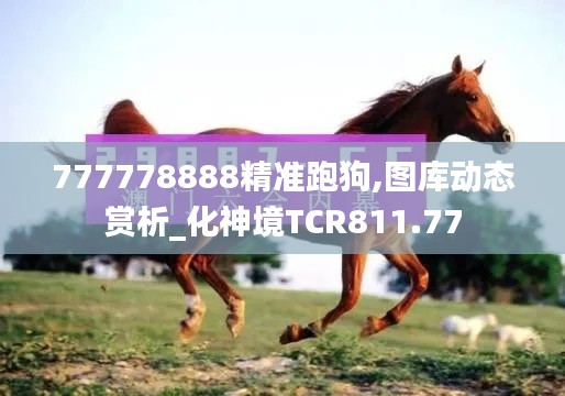 777778888精準跑狗,圖庫動態(tài)賞析_化神境TCR811.77