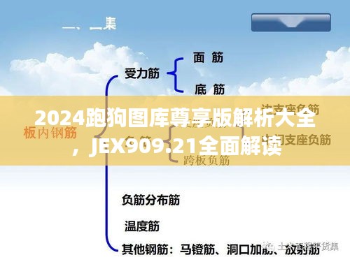 2024跑狗圖庫尊享版解析大全，JEX909.21全面解讀