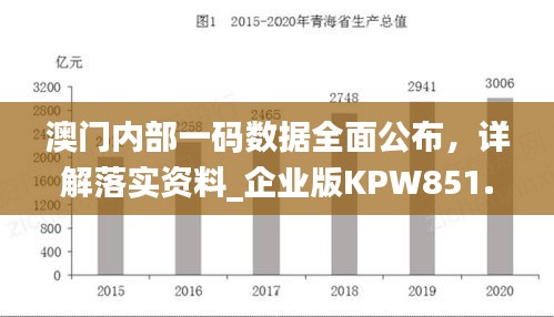 澳門內(nèi)部一碼數(shù)據(jù)全面公布，詳解落實資料_企業(yè)版KPW851.07