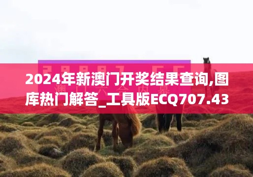 2024年新澳門開獎(jiǎng)結(jié)果查詢,圖庫(kù)熱門解答_工具版ECQ707.43