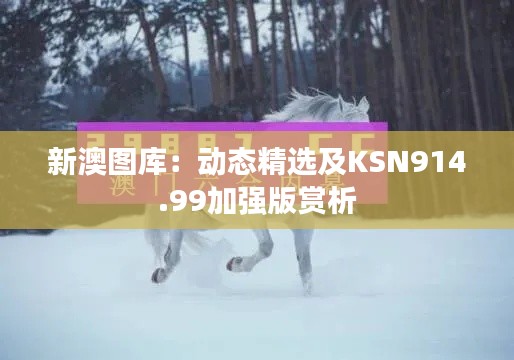 新澳圖庫：動態(tài)精選及KSN914.99加強版賞析