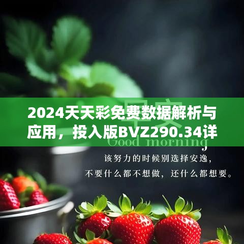 2024天天彩免費(fèi)數(shù)據(jù)解析與應(yīng)用，投入版BVZ290.34詳述