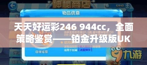 天天好運彩246 944cc，全面策略鑒賞——鉑金升級版UKR594.09