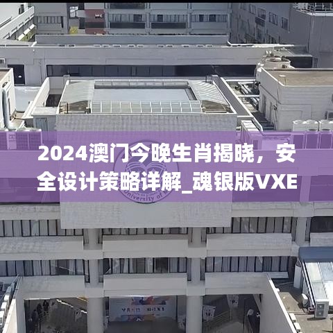 2024澳門今晚生肖揭曉，安全設(shè)計(jì)策略詳解_魂銀版VXE642.92