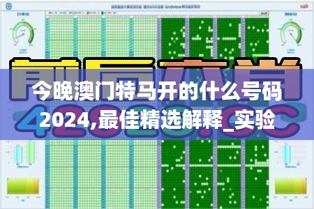 今晚澳門特馬開的什么號碼2024,最佳精選解釋_實驗版973.76