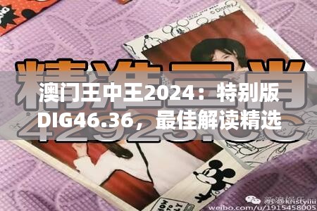 澳門(mén)王中王2024：特別版DIG46.36，最佳解讀精選版