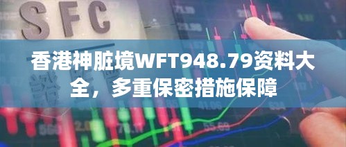 香港神臟境WFT948.79資料大全，多重保密措施保障