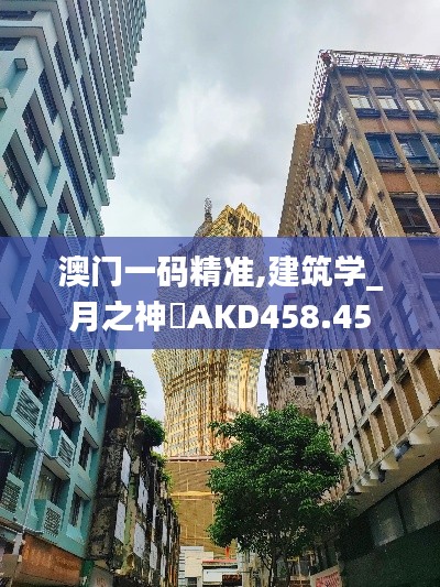 澳門一碼精準,建筑學_月之神衹AKD458.45