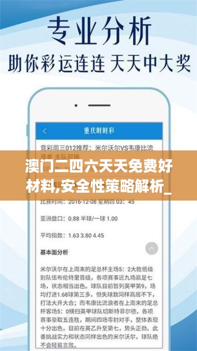 澳門二四六天天免費(fèi)好材料,安全性策略解析_北斗境QYG988.87