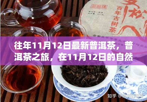 普洱茶之旅，在11月12日的自然懷抱中品味靜心之茶，探尋最新普洱茶的魅力