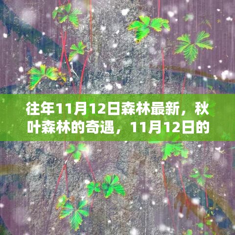 秋日森林奇遇，溫馨記憶中的最新秋葉森林