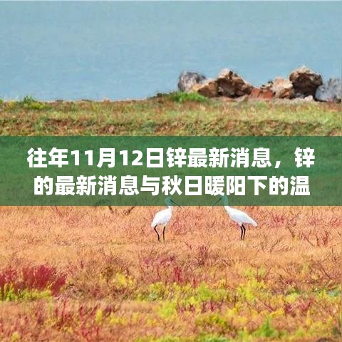 秋日暖陽下的鋅情，最新鋅消息與溫情故事回顧