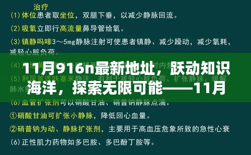 躍動(dòng)知識(shí)海洋，探索無(wú)限可能，揭秘11月916n新地址魔法之旅，學(xué)習(xí)成就自信與成長(zhǎng)