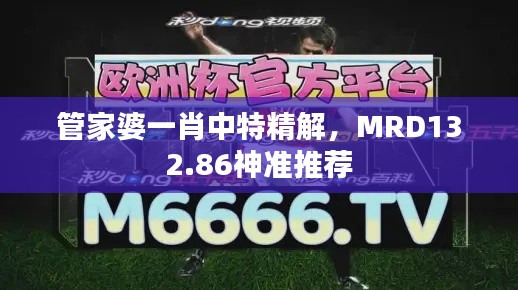 管家婆一肖中特精解，MRD132.86神準推薦