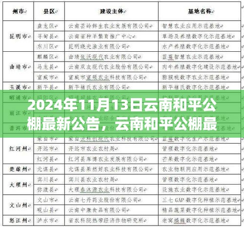 云南和平公棚最新公告發(fā)布，多元觀點探析與解讀