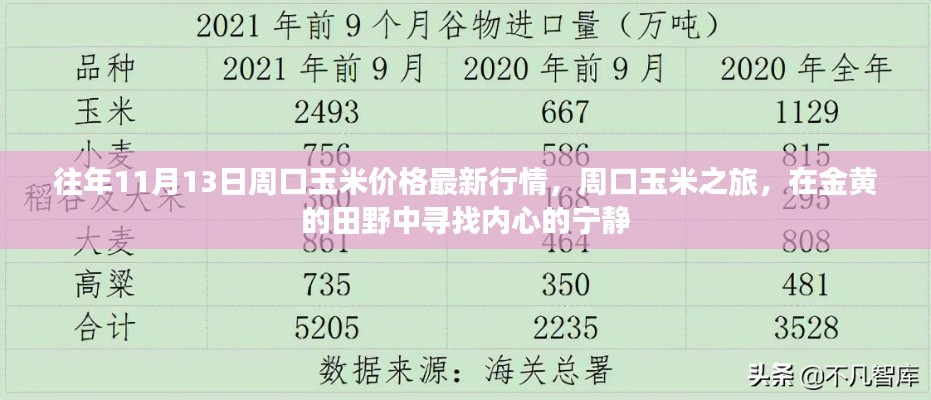 往年11月13日周口玉米價格更新，田野探索與內(nèi)心寧靜之旅