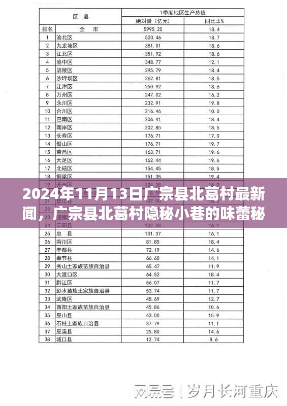 廣宗縣北葛村隱秘小巷的美食秘境，最新探秘之旅（2024年11月13日）