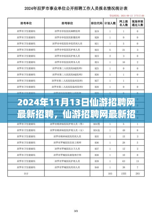 2024年11月13日仙游招聘網(wǎng)最新動(dòng)態(tài)，聚焦人才市場熱點(diǎn)