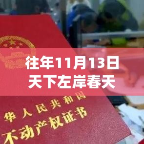 往年11月13日天下左岸春天的最新動態(tài)與深度洞察影響