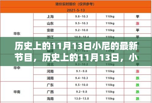 小尼最新節(jié)目深度解析，歷史上的十一月十三日