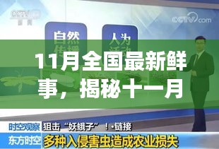 揭秘十一月全國新鮮事，熱點聚焦與科普解讀