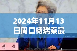 楊瑞案背后的故事，變化的力量與自信的重生最新進(jìn)展，周口楊瑞案深度剖析（2024年11月13日）