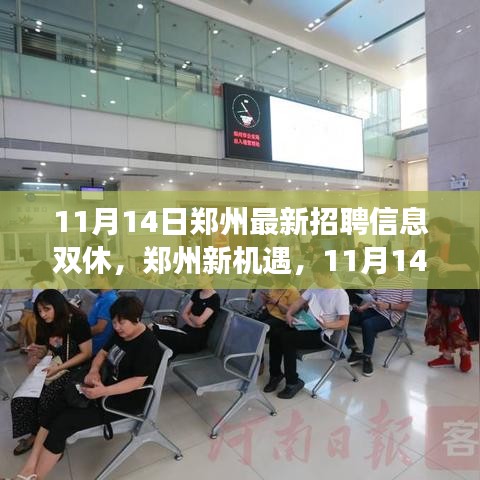 鄭州最新招聘信息揭秘，學(xué)習(xí)與成長之旅，雙休路上的自信與成就感