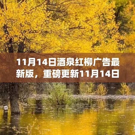 11月14日酒泉紅柳廣告最新版，重磅更新，精彩紛呈