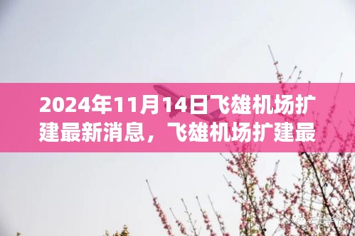 2024年11月14日飛雄機(jī)場擴(kuò)建最新進(jìn)展與動態(tài)