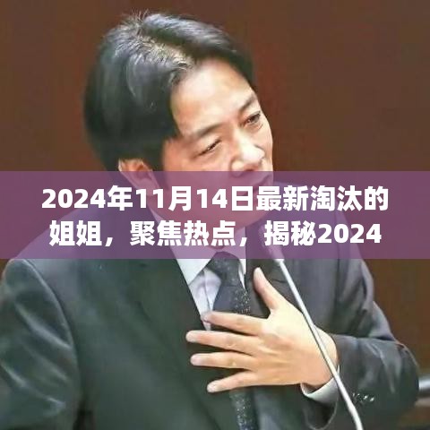 揭秘，2024年11月14日最新淘汰的姐姐背后的故事與熱點聚焦