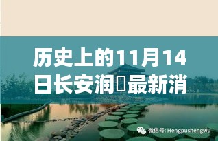 長安潤璟秘境探索，歷史與美食的碰撞時刻，最新消息揭秘秘密小店