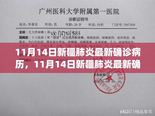 新疆肺炎最新確診病歷動(dòng)態(tài)分析與更新（11月14日）