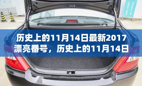 歷史上的11月14日最新2017漂亮番號，歷史上的11月14日，探尋那些閃耀的瞬間與美好記憶??