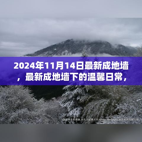 最新成地墻下的溫馨日常，友誼與愛共筑美好家園的2024年1月記事