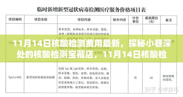 探秘核酸檢測寶藏店，揭秘最新核酸檢測費用新鮮事（11月14日更新）