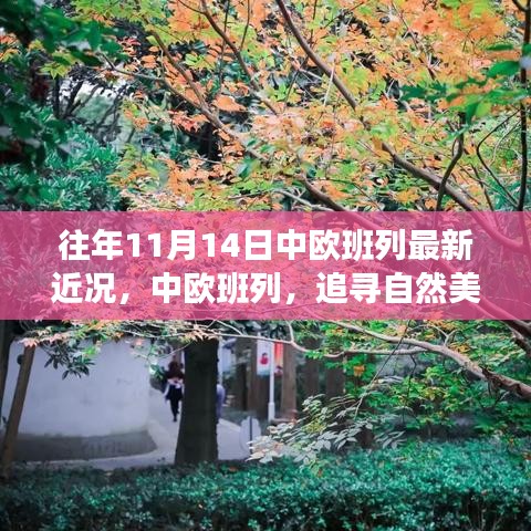 中歐班列秋日序曲，追尋自然美景與內(nèi)心寧?kù)o之旅的最新近況