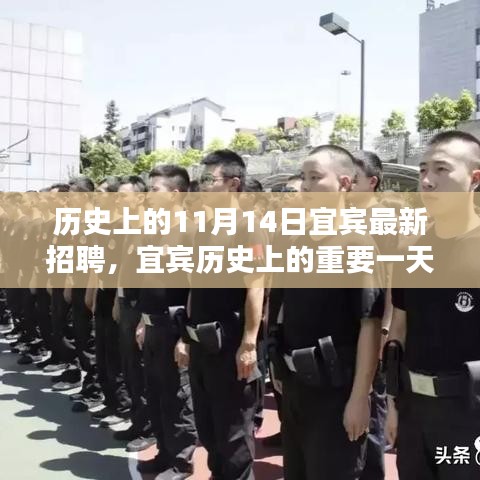 宜賓歷史上的重要一天，揭秘十一月十四日最新招聘及其深遠影響