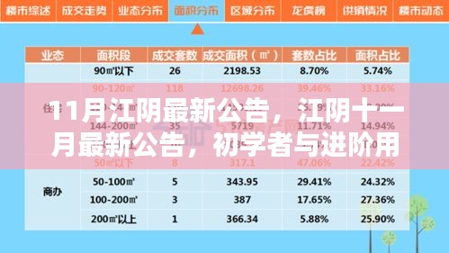 江陰十一月最新公告發(fā)布，初學(xué)者與進(jìn)階用戶(hù)指南詳解