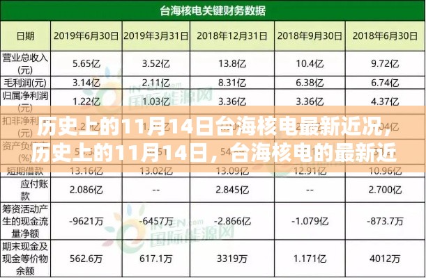 歷史上的11月14日，臺(tái)海核電的最新近況及其影響分析概覽