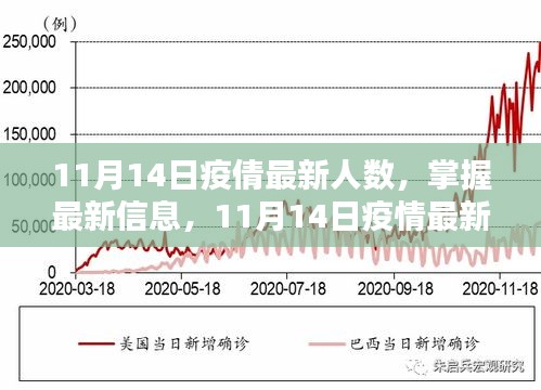 11月14日疫情最新人數(shù)查詢指南，掌握最新信息