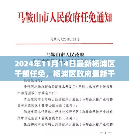 楊浦區(qū)政府最新干部任免動態(tài)，聚焦新任干部及未來展望（更新至2024年）